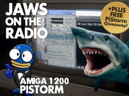 Internet Radio Amiga Setup