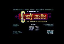 Chaotic Crazy Castle