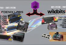 Sale of F256x Assets: What’s Next F256x asset sale