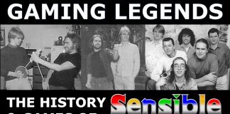 Sensible Software story